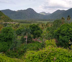 Scenic of the valley